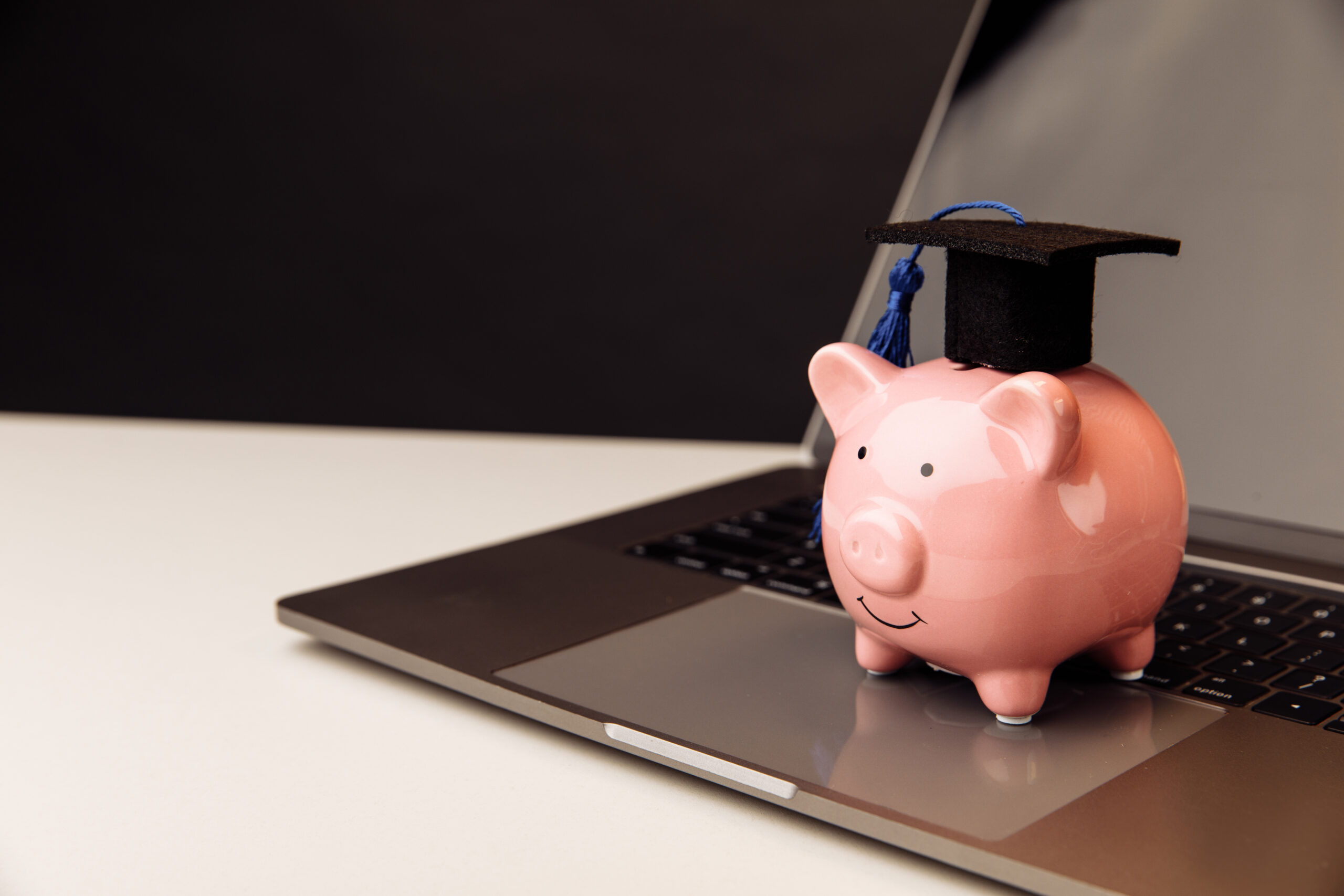 Online Masters Degree Cost Scaled 