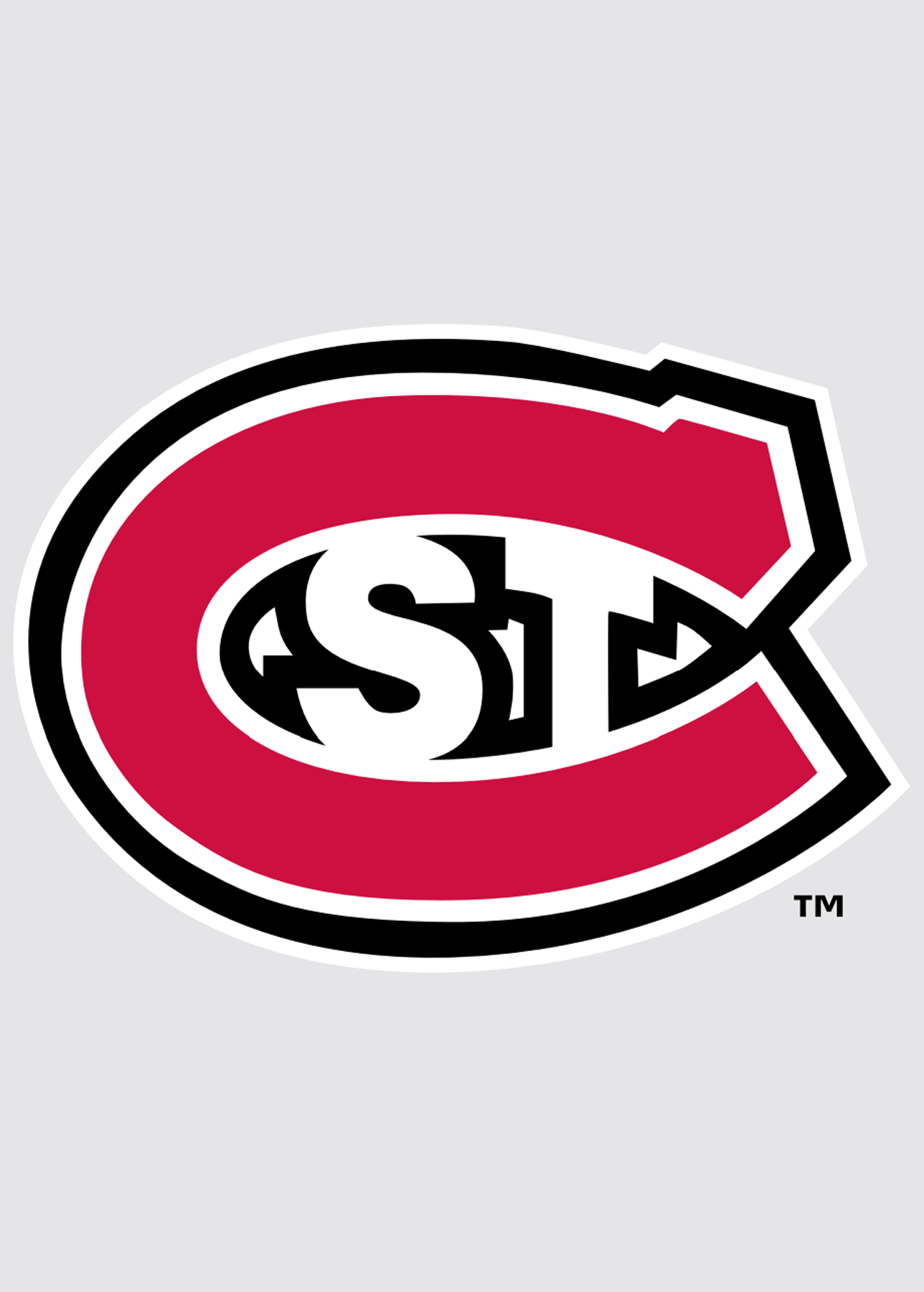 Saint Cloud State University