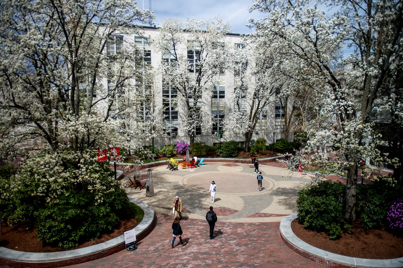 Northeastern University Oakland